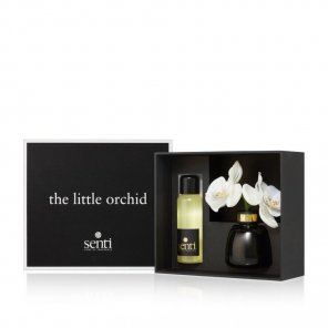 Amber & Oud - The Little Orchid